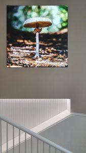 Reforma integral Barcelona GITEB - Interior finalizado